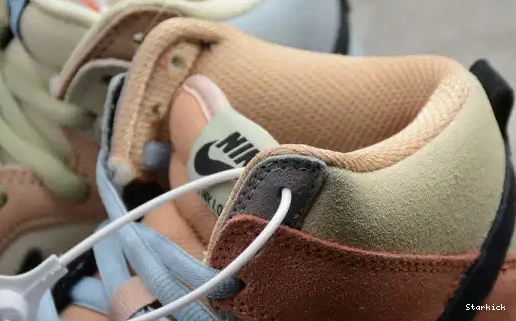 CN8345-001 Spectrum Dunk Nike SB High 0704